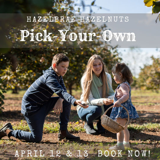 PYO Hazelnuts
