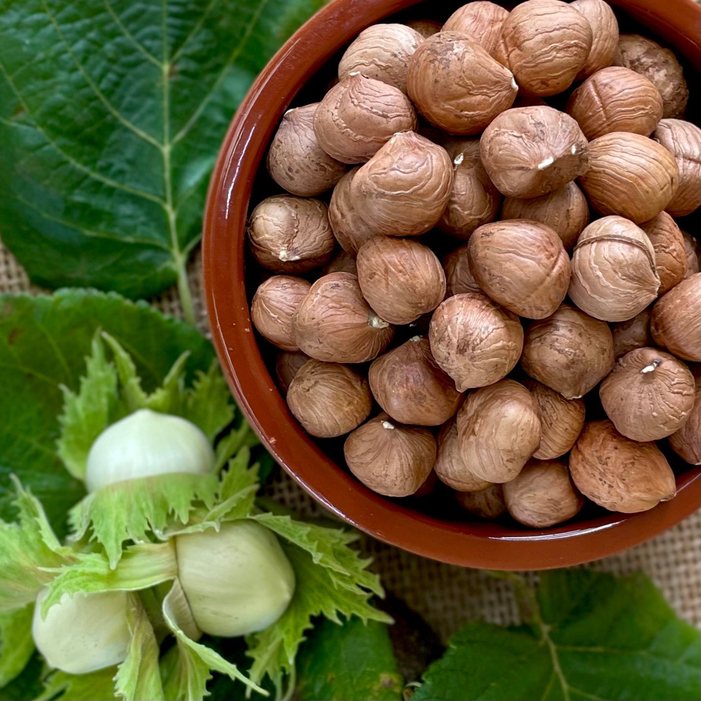 Raw Hazelnuts