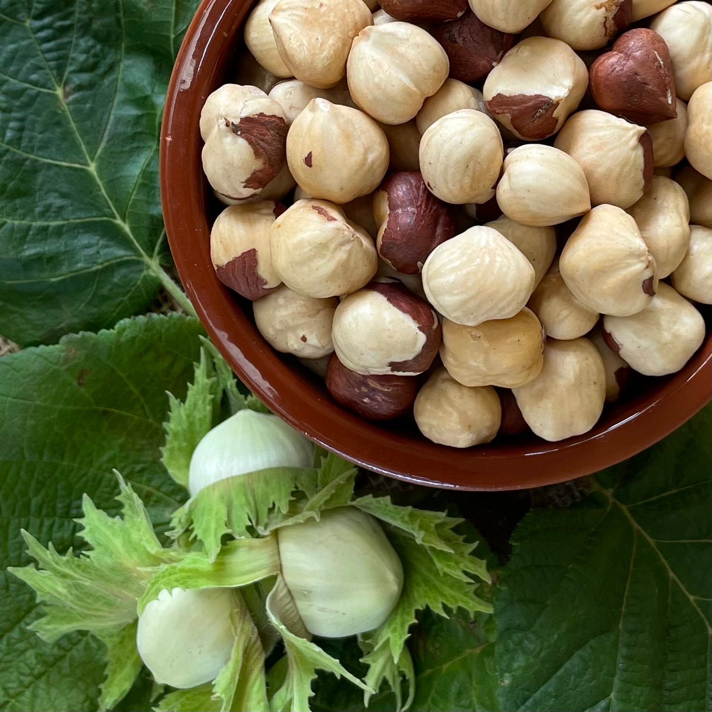 The best roasted hazelnuts