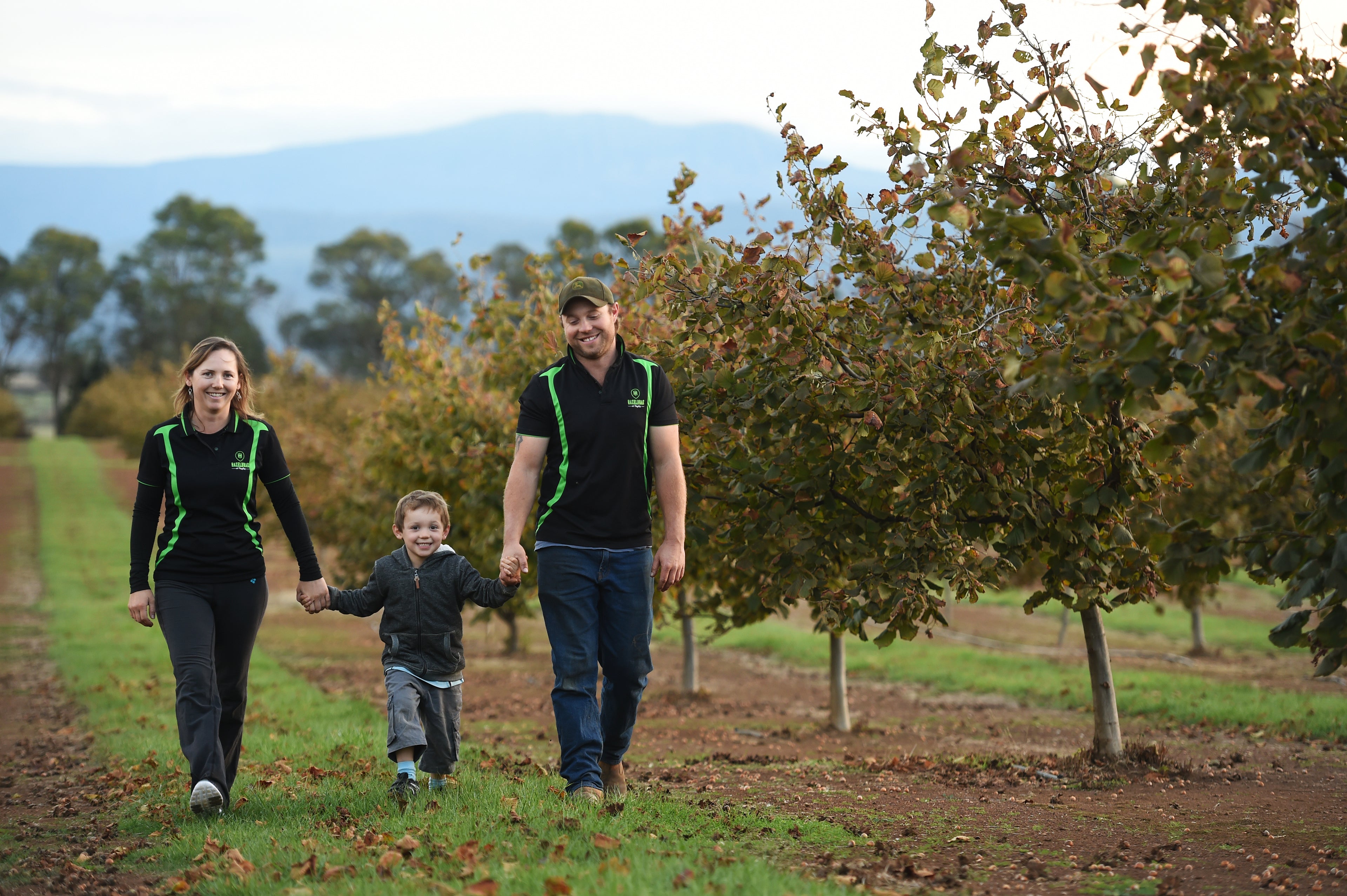 Family walking through Hazelbrae Hazelnut orchard