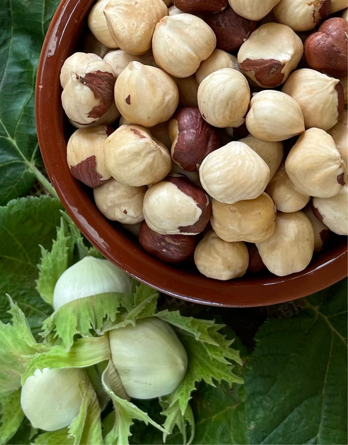 Roasted Hazelnuts