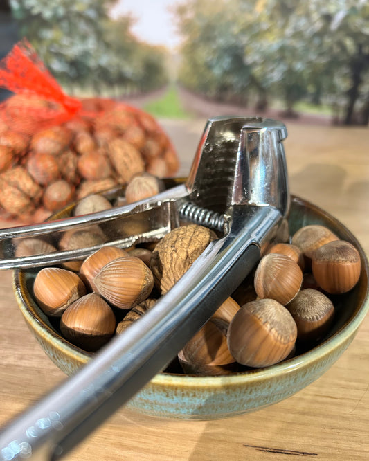 Nuts in shell & Nut Cracker